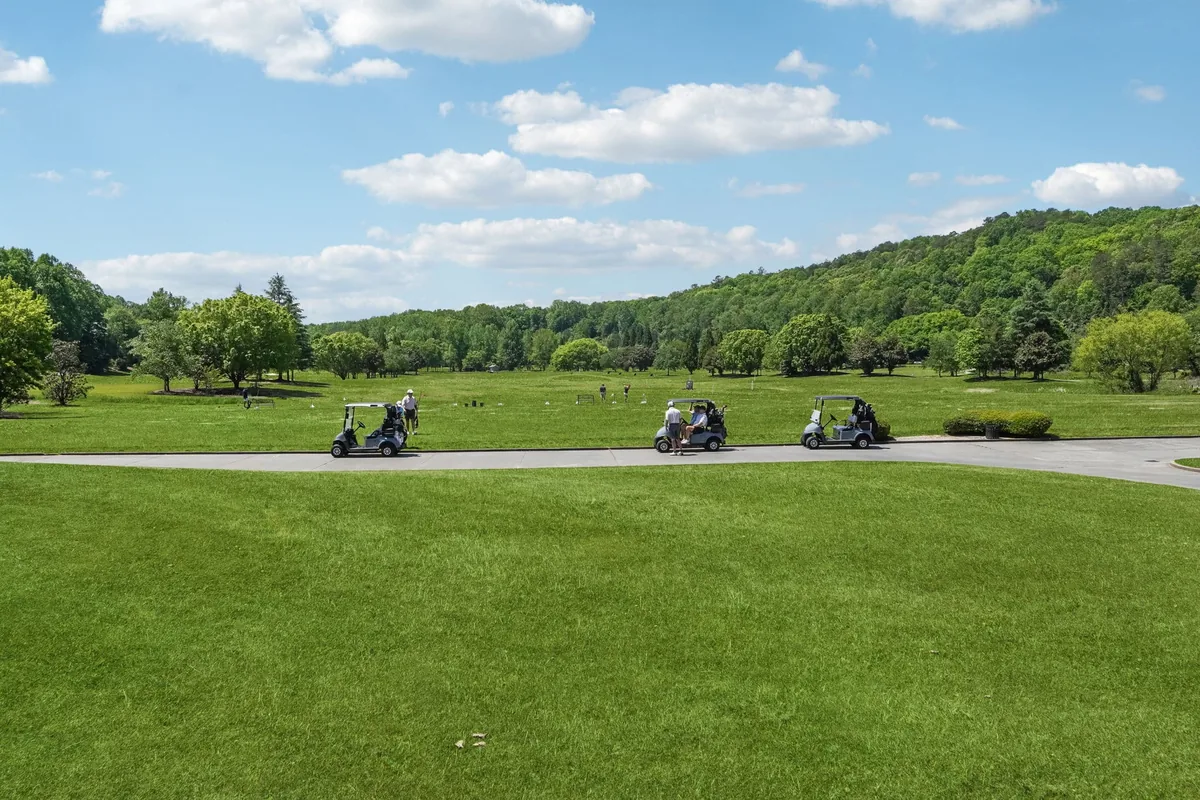 Golf practice area with several carts and golfers beside a tree line